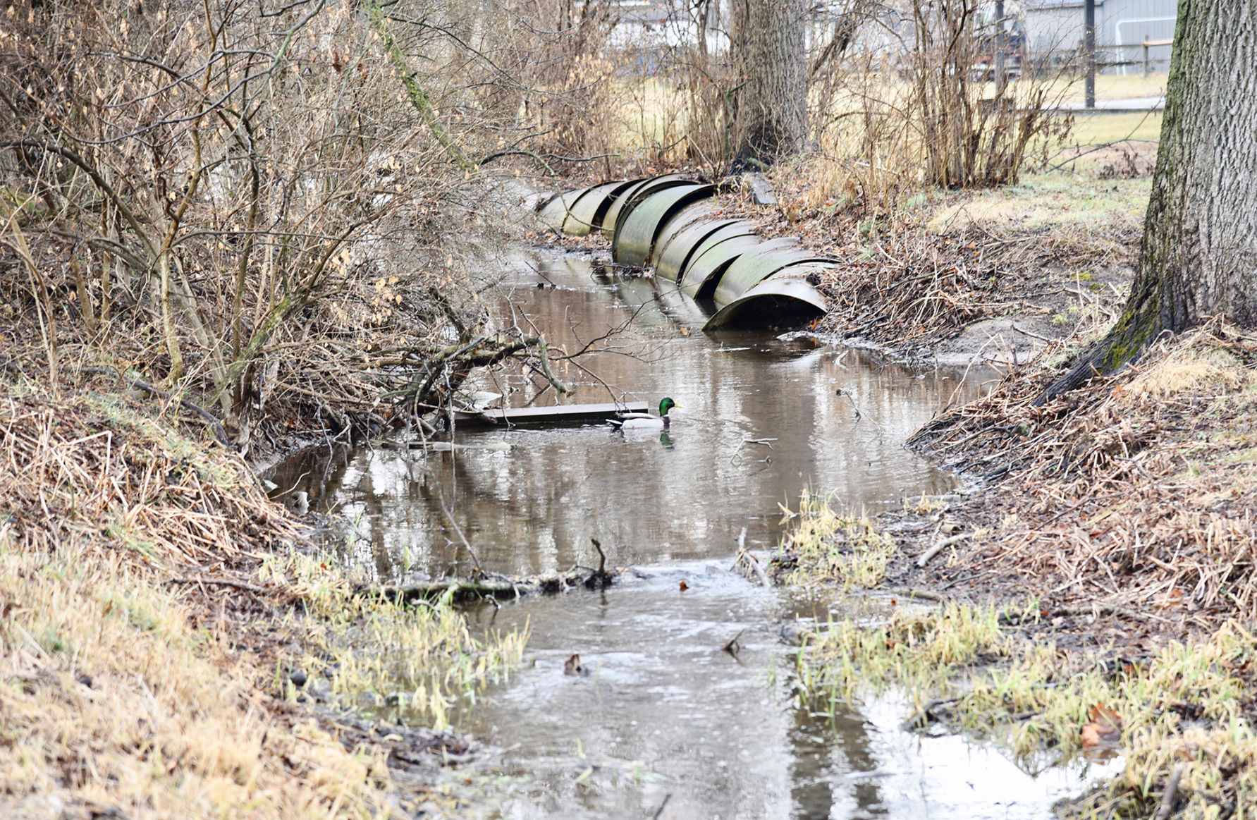 Stream in Greencastle PA with pipe